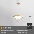 إضاءة دائرية بسيطة LED LED LED SEILING LIGHT